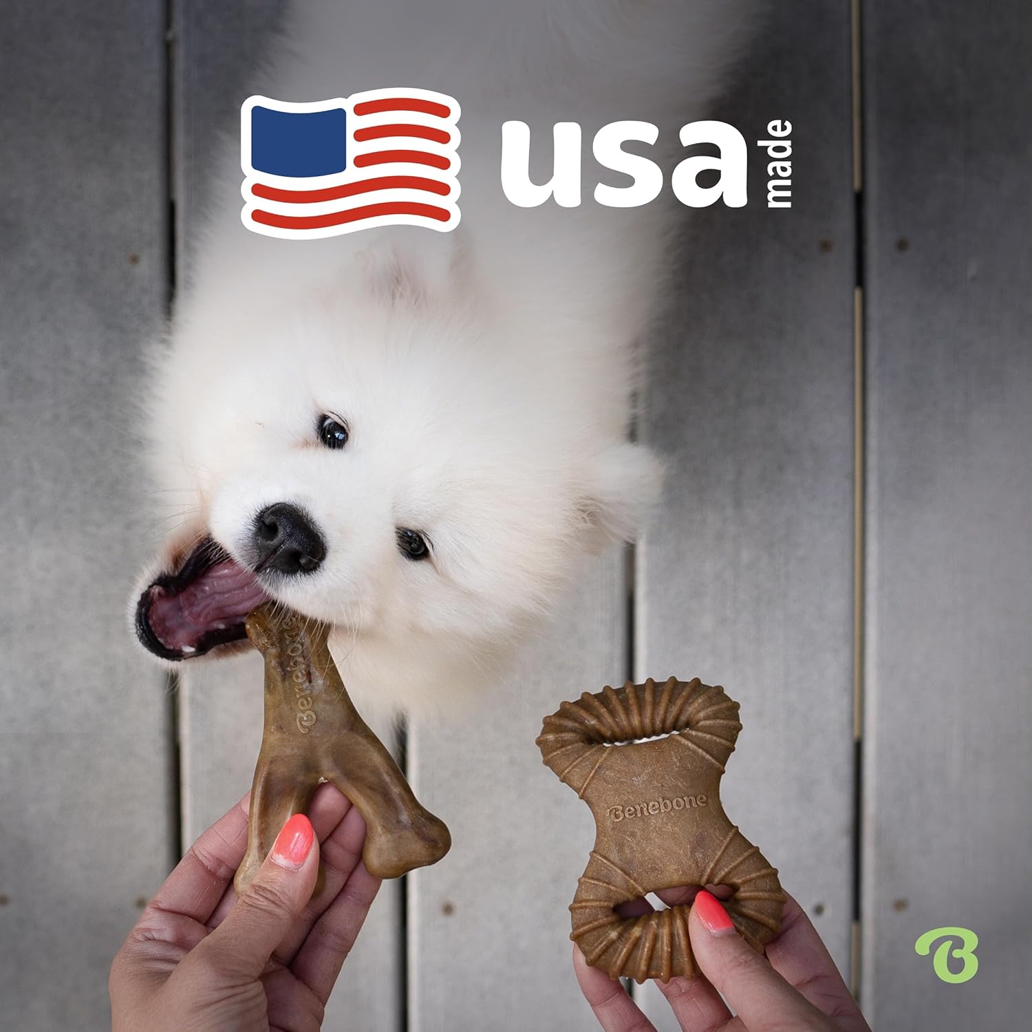 Benebone Tiny Pack de 2 – Brinquedos de Mastigação para Cães | Sabor Bacon