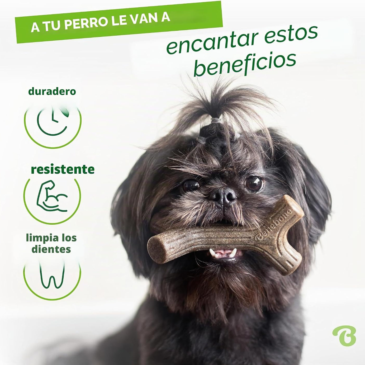 Benebone Tiny Maplestick & Zaggler – Brinquedos para Cães | Bacon e Madeira de Ácer