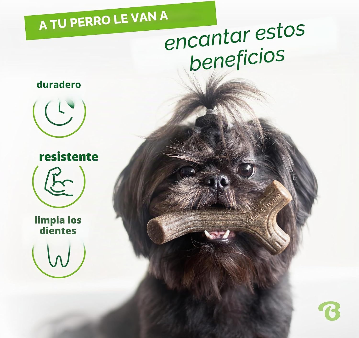 Benebone Tiny Maplestick & Zaggler – Brinquedos para Cães | Bacon e Madeira de Ácer