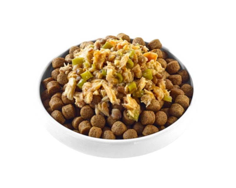 Applaws Taste Toppers em molho - Saqueta 85g  | Peixe Branco com Salmão, Feijão Verde e Lentilhas