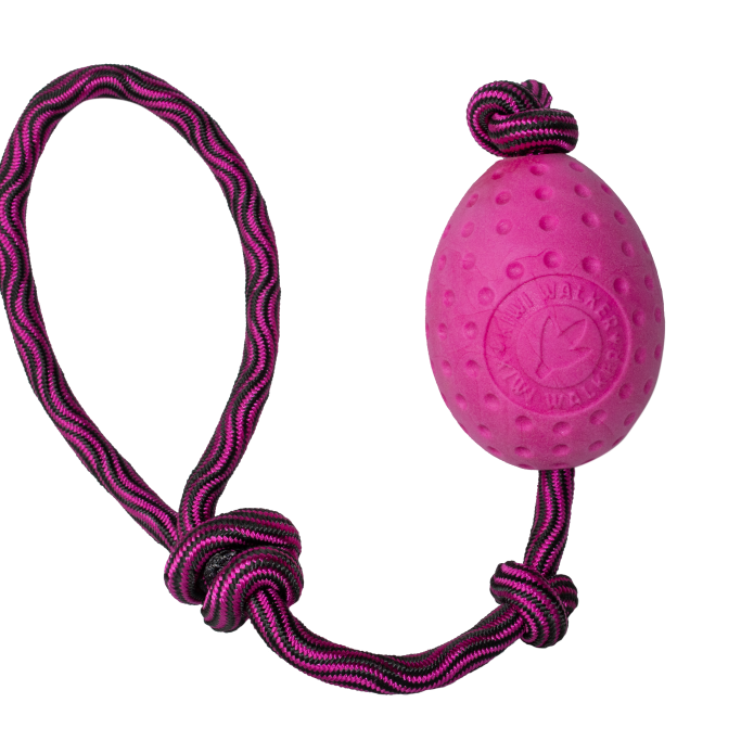 Kiwi Walker Brinquedo Flutuante com Corda Ovo Maxi