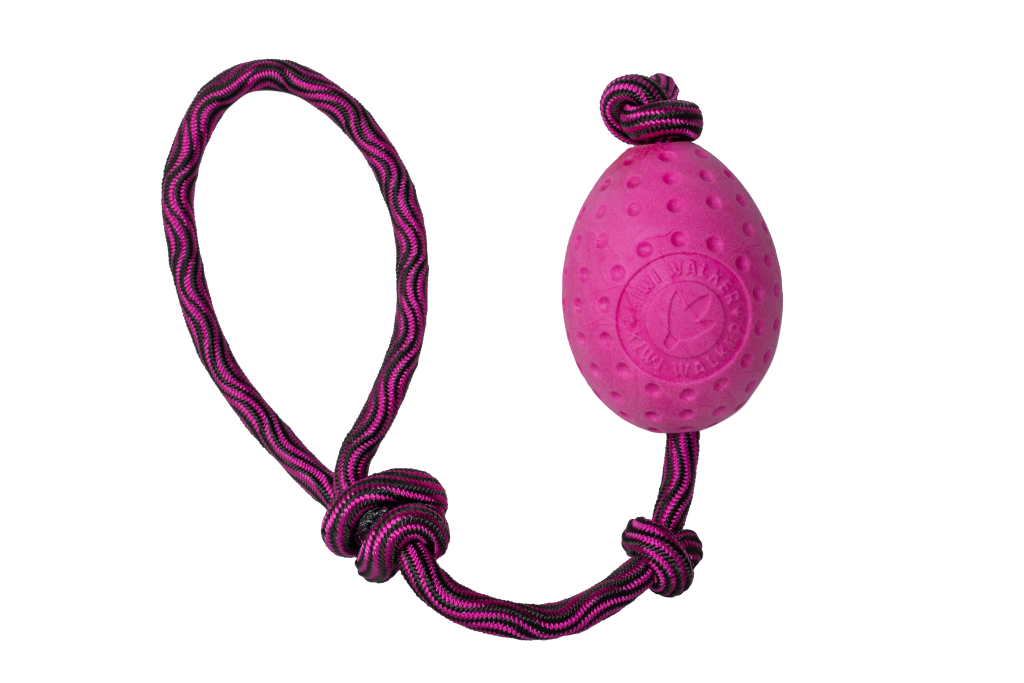 Kiwi Walker Brinquedo Flutuante com Corda Ovo Maxi