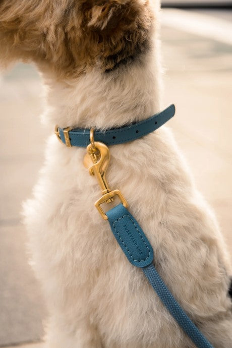 FuzzYard LIFE Cotton Lead - Sandstone, Sand