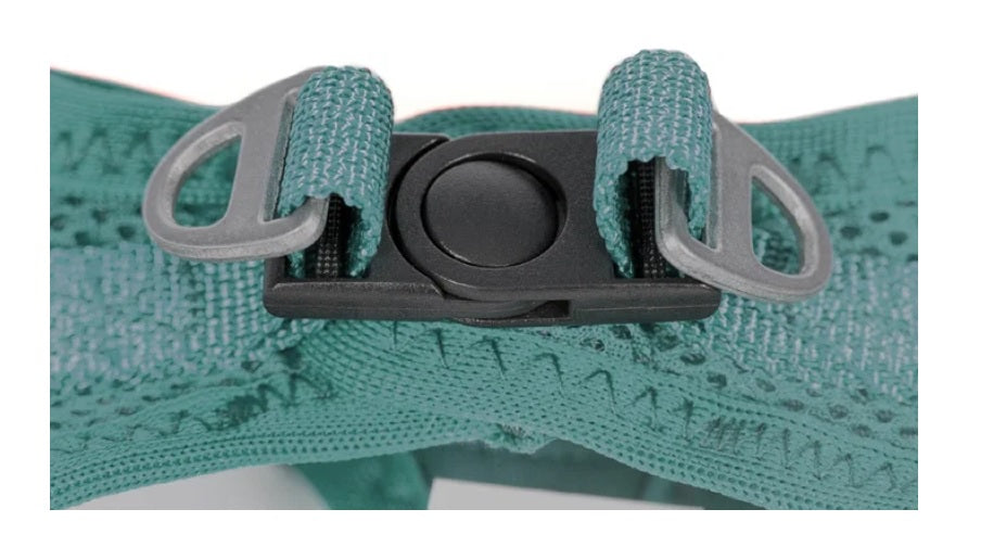 Peitoral GLORIA Trek Star para cão | Turquesa