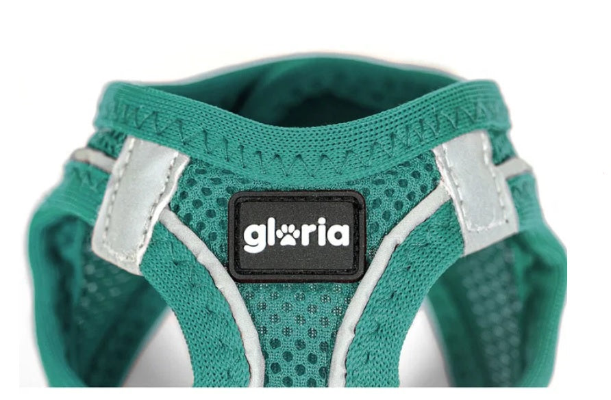 Peitoral GLORIA Trek Star para cão | Turquesa