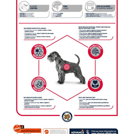 Advance Veterinary Diets Diabetes para cães - DOGGIE STORE