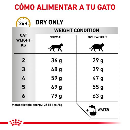 Royal Canin Vet Urinary S/O Moderate Calorie Feline | Wet (Saqueta) | 12 x 85 g