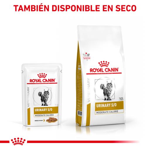 Royal Canin Vet Urinary S/O Moderate Calorie Feline | Wet (Saqueta) | 12 x 85 g