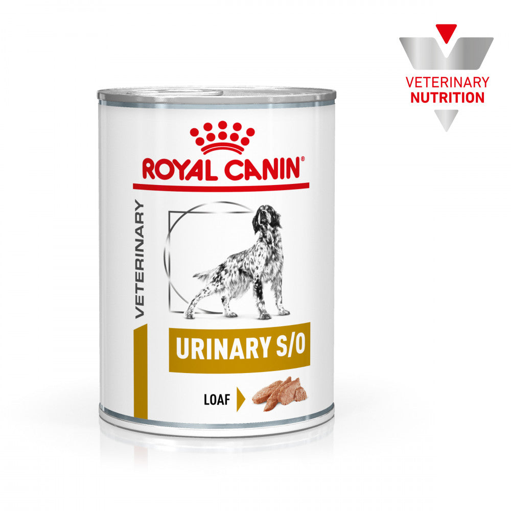 Royal Canin® Veterinary Urinary S/O Cão Adulto – Alimento Húmido (Mousse)