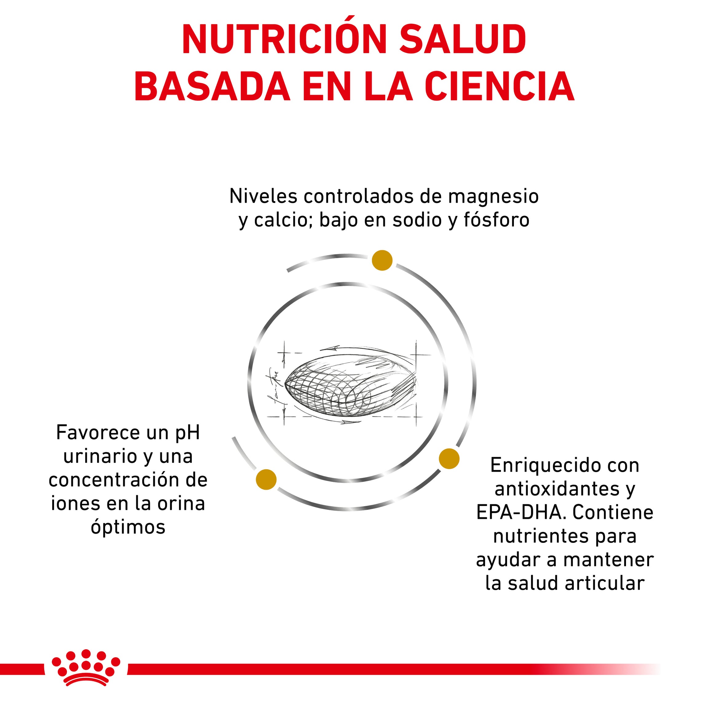 Royal Canin VD Hypoallergenic Moderate Calorie Adult Dogs 7kg - Hypoallergenic dry food with reduced calories for adult dogs with allergies