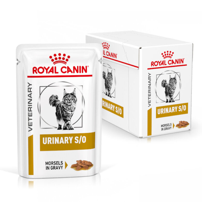 Royal Canin® Veterinary Urinary S/O Feline – Alimento Húmido para Gatos Adultos com Sensibilidade Urinária