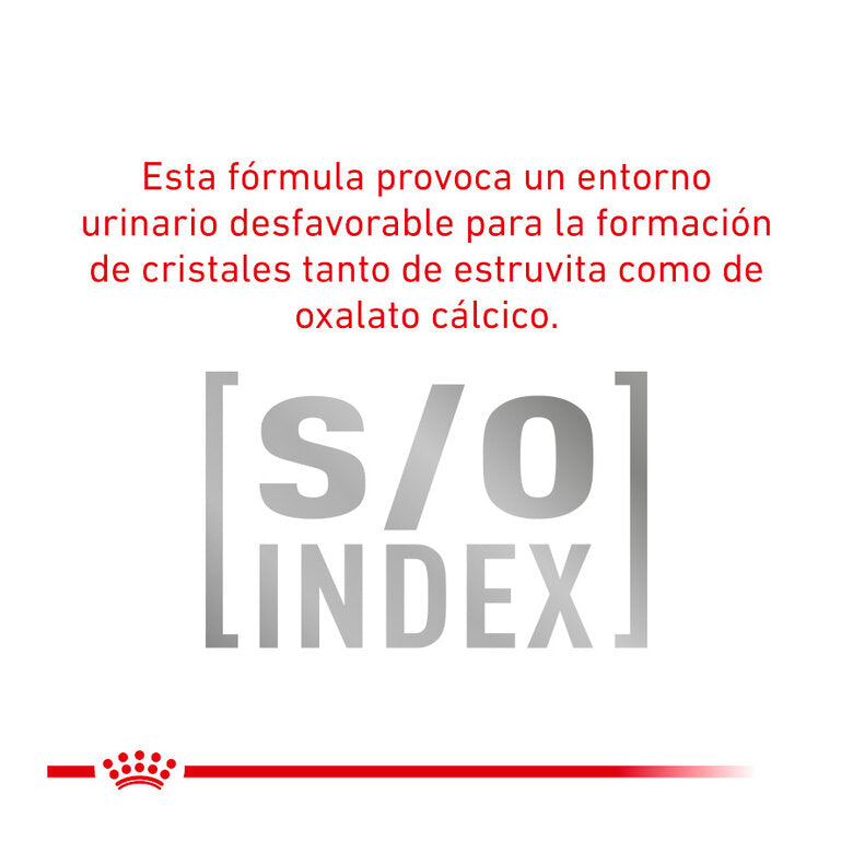 Royal Canin® Veterinary Urinary S/O Feline – Alimento Húmido para Gatos Adultos com Sensibilidade Urinária