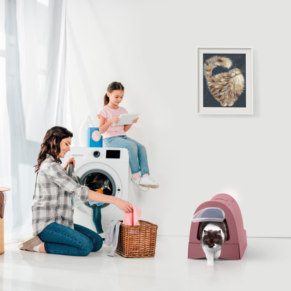 Caixa de Areia IMAC WC Zuma