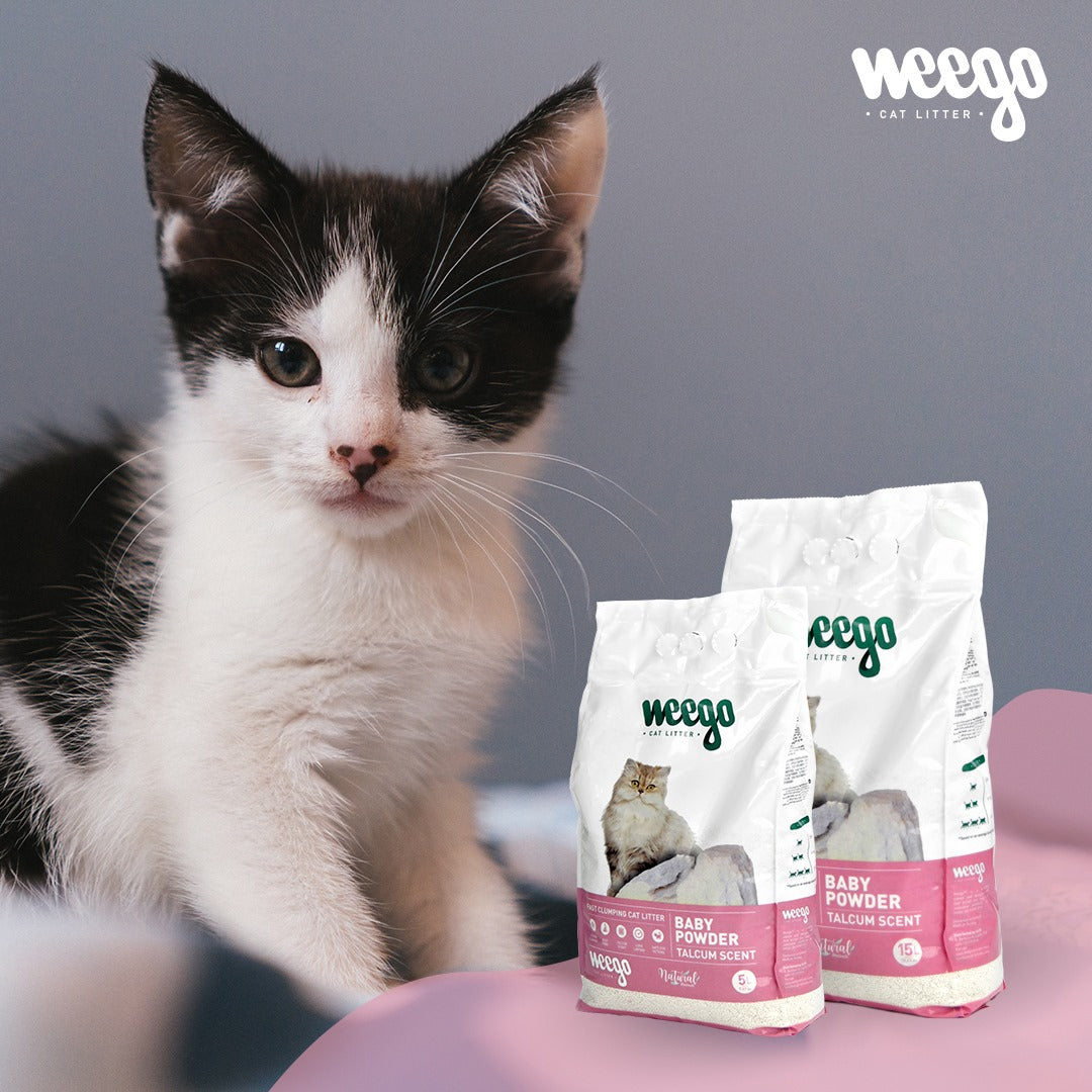 Clumping Cat Litter | Weego™ Cat Litter Baby Powder