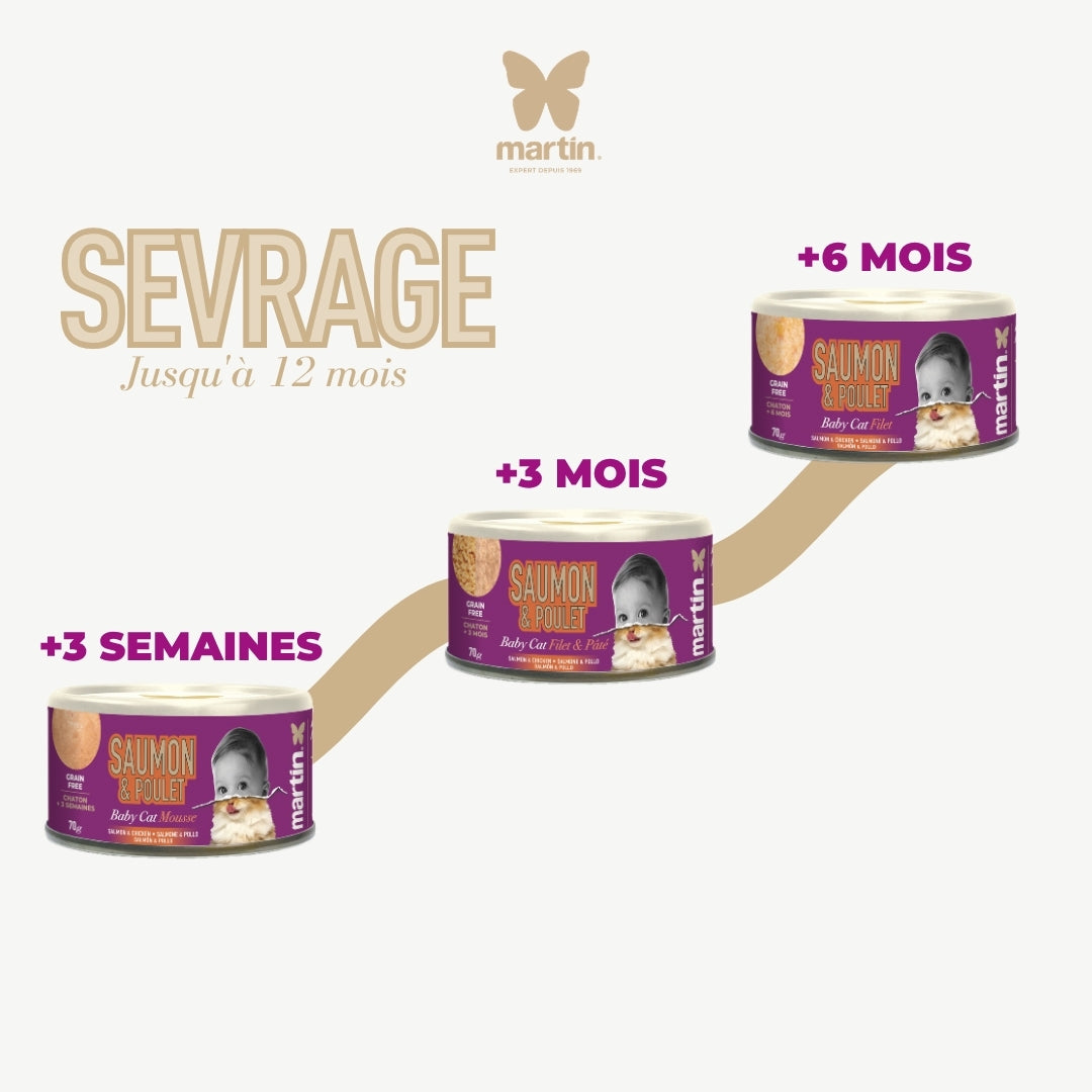 Martin Stewed Chicken & Ham - For Cat - 70g