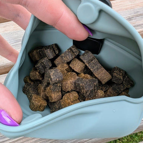 Juguete masticable circular para perros Kong Dotz
