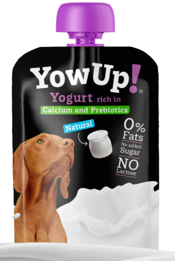 Lactose-Free Natural Yoghurt for Dogs - 3x115 gr.