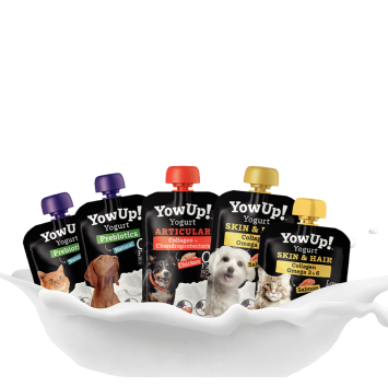 Skin & Hair Yogurt with Salmon - 3x115 gr.